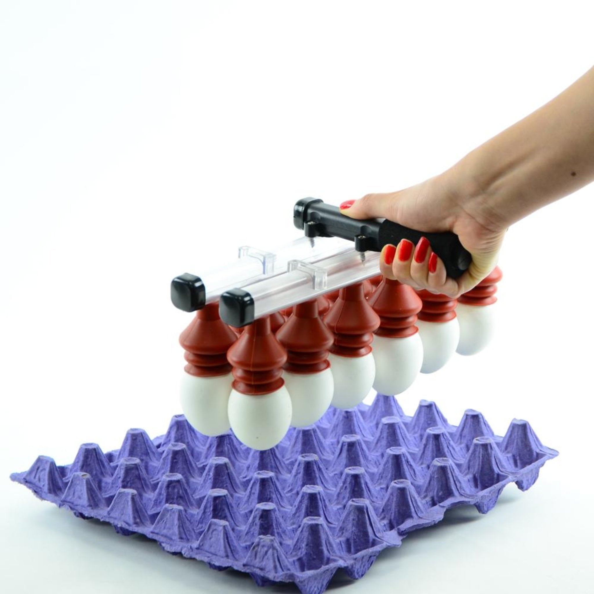 Hatching Time Vacuum Egg Lifter (12 Eggs) - Manual