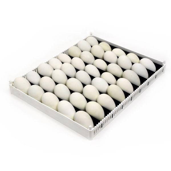 Cimuka Egg Setter Tray (Flexy80ST)