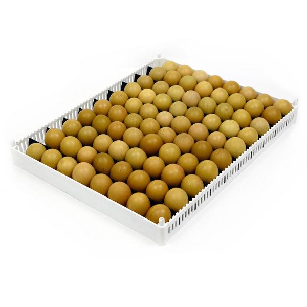 Cimuka Egg Setter Tray (Flexy80ST)
