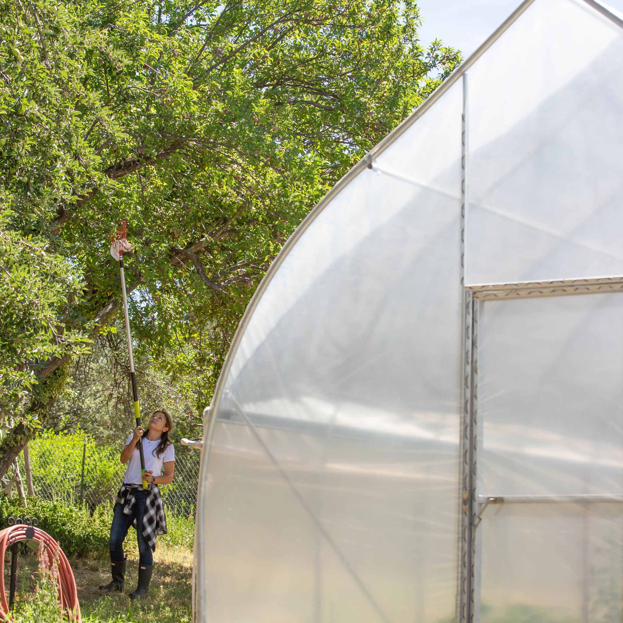 Bootstrap Farmer Gothic All-Metal Hoop Coop Kit