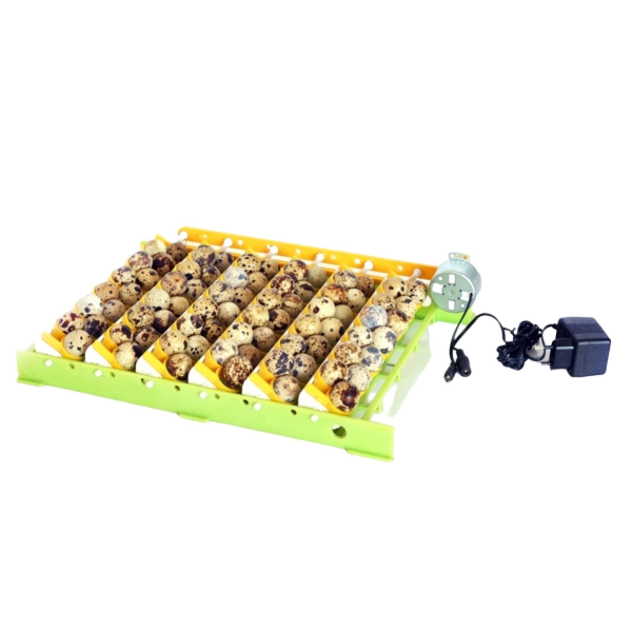 Hatching Time Quail Egg Rack for Conturn30 Egg Turner & Cimuka Setters Hatchers