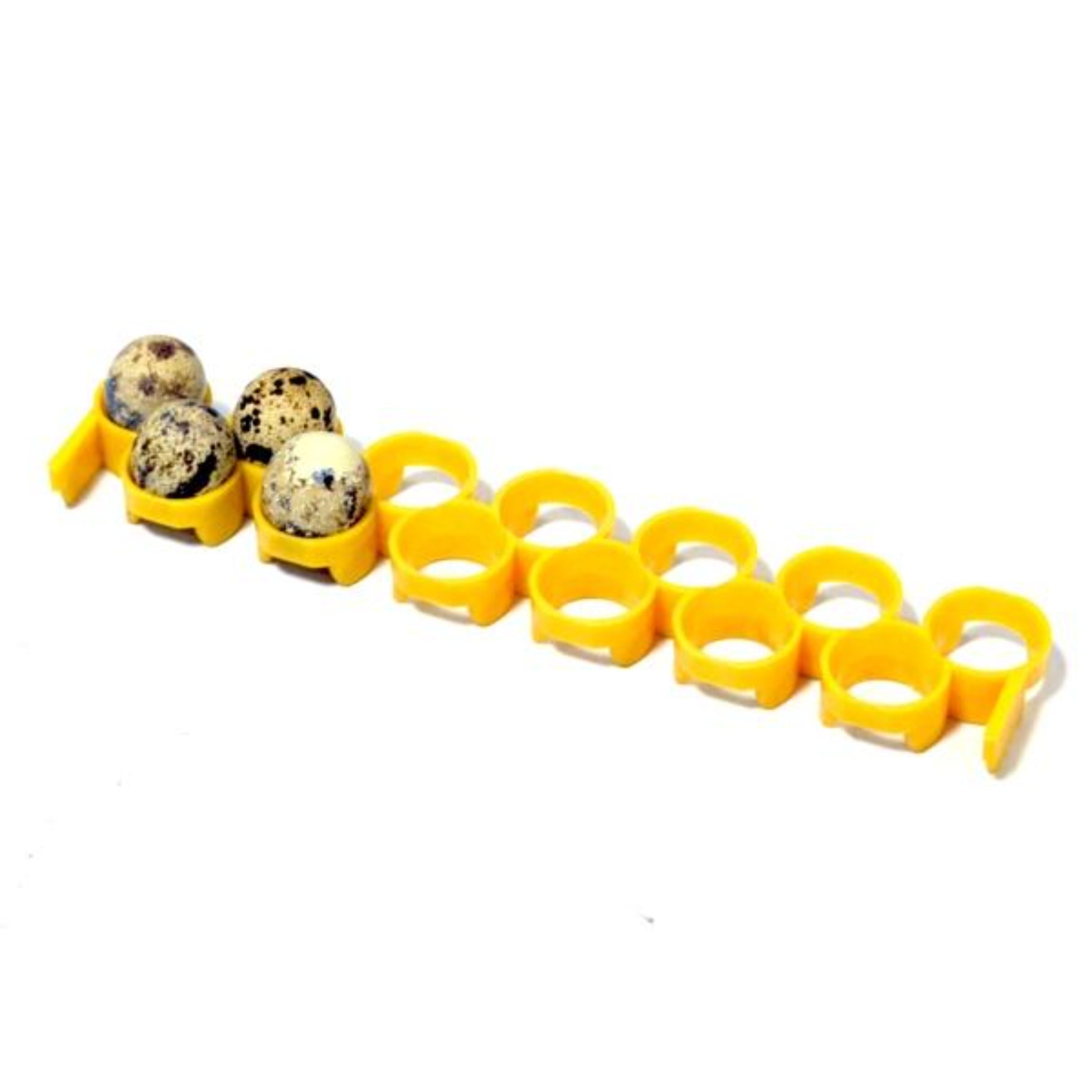 Hatching Time Quail Egg Rack for Conturn30 Egg Turner & Cimuka Setters Hatchers