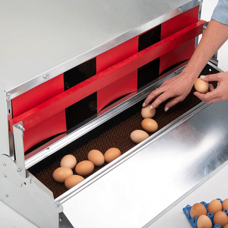 HenGear Nesting Box Medium Rollout & Reversible Design open with eggs