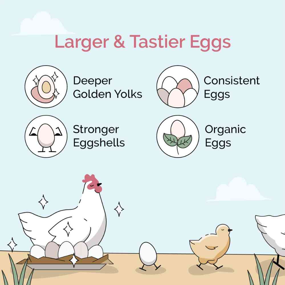 Mile Four Starter Organic Chicken Feed
