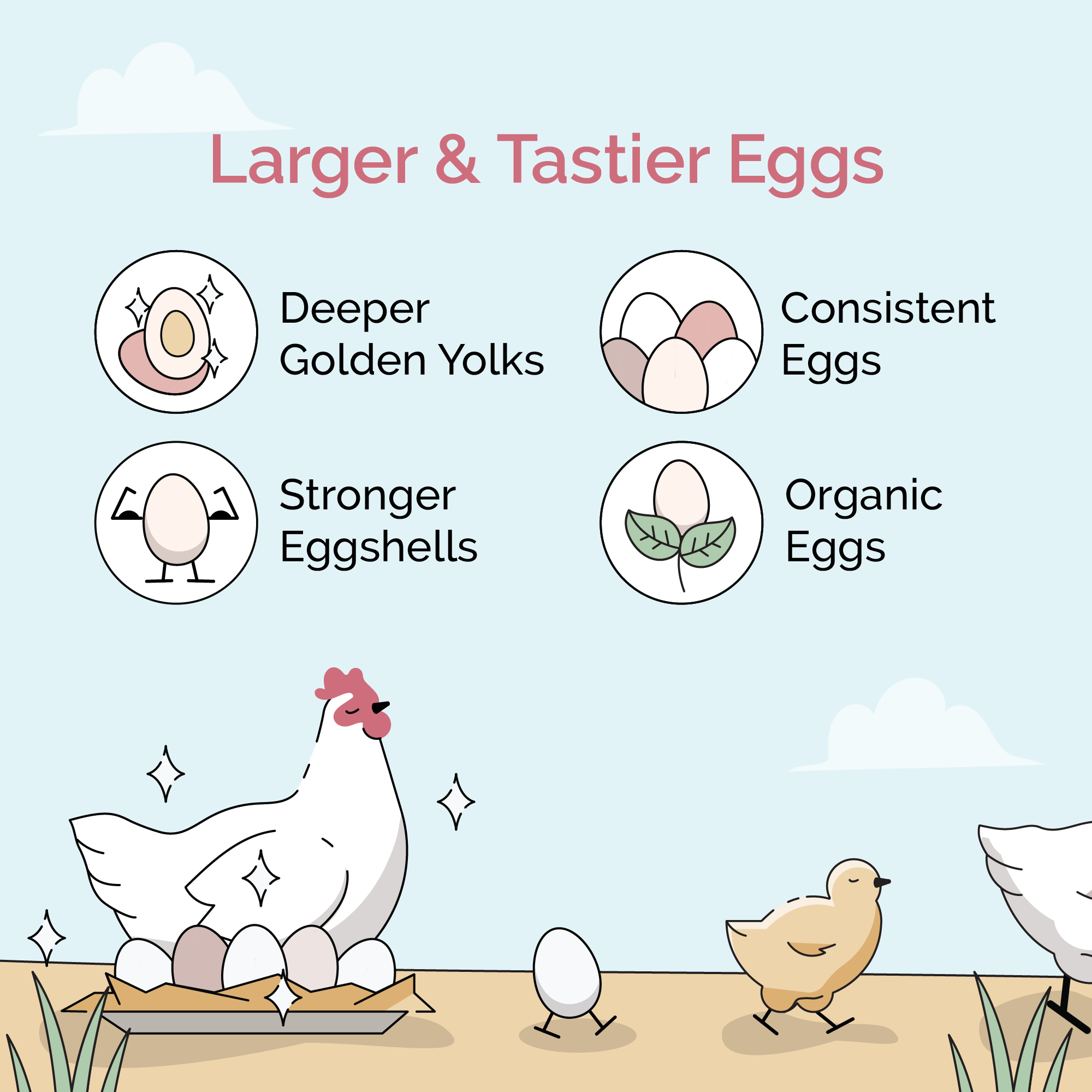 Mile Four Starter Feed Kit | 8 Weeks of Organic Feed & Grit for 6 Chicks