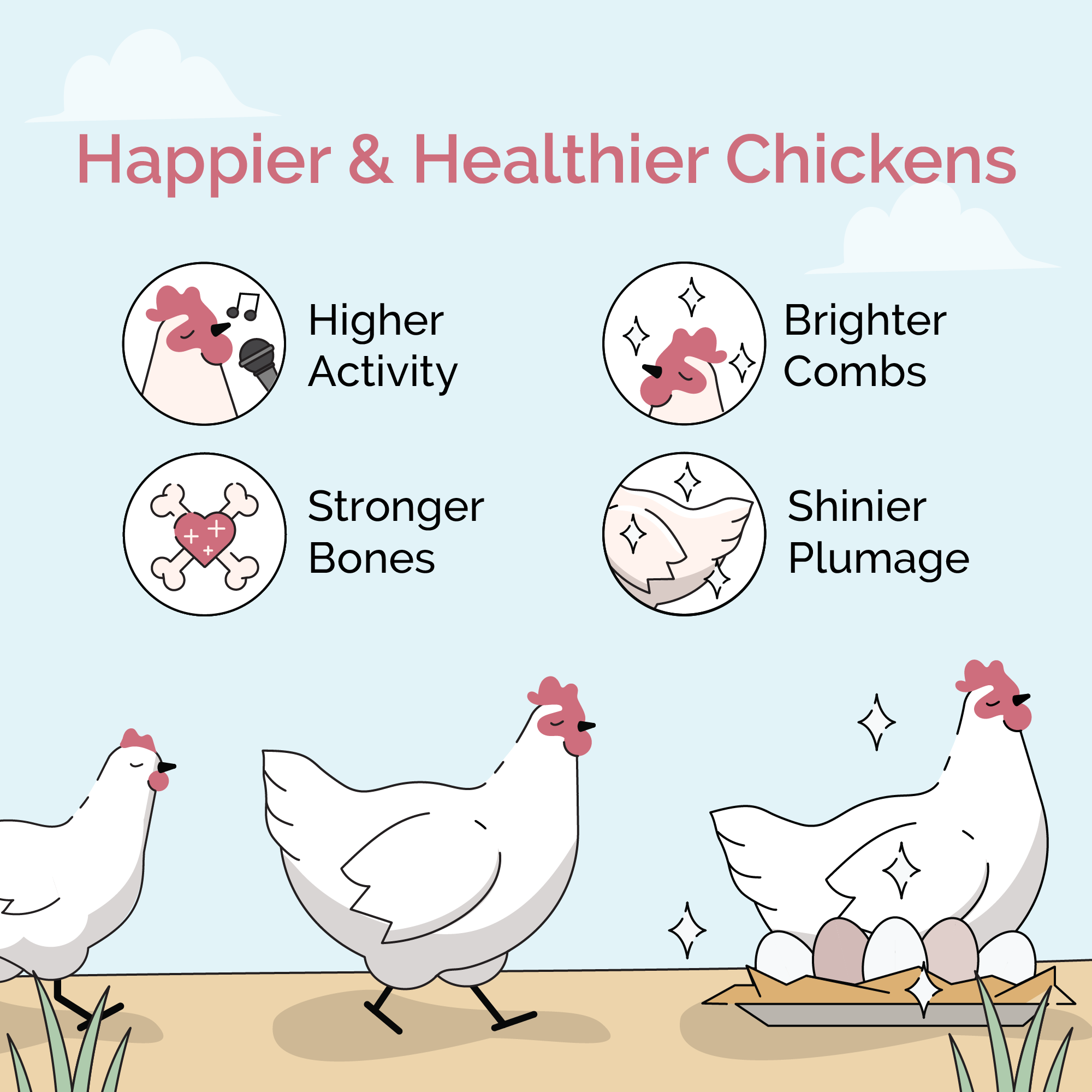 Mile Four Starter Feed Kit | 8 Weeks of Organic Feed & Grit for 6 Chicks