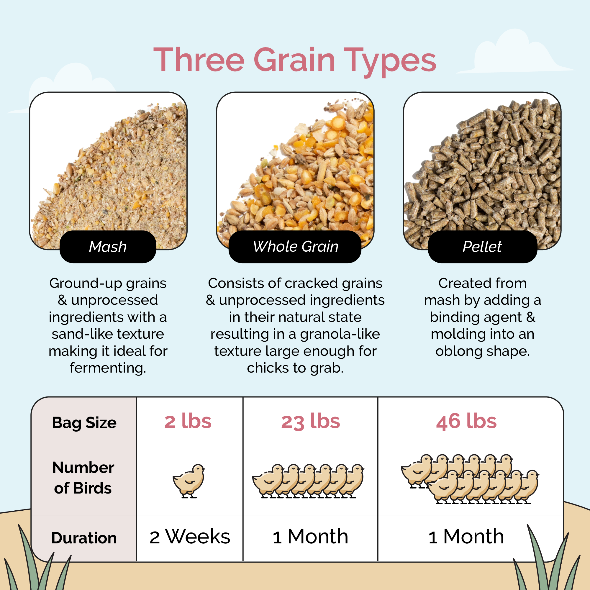Mile Four Starter Feed Kit | 8 Weeks of Organic Feed & Grit for 6 Chicks