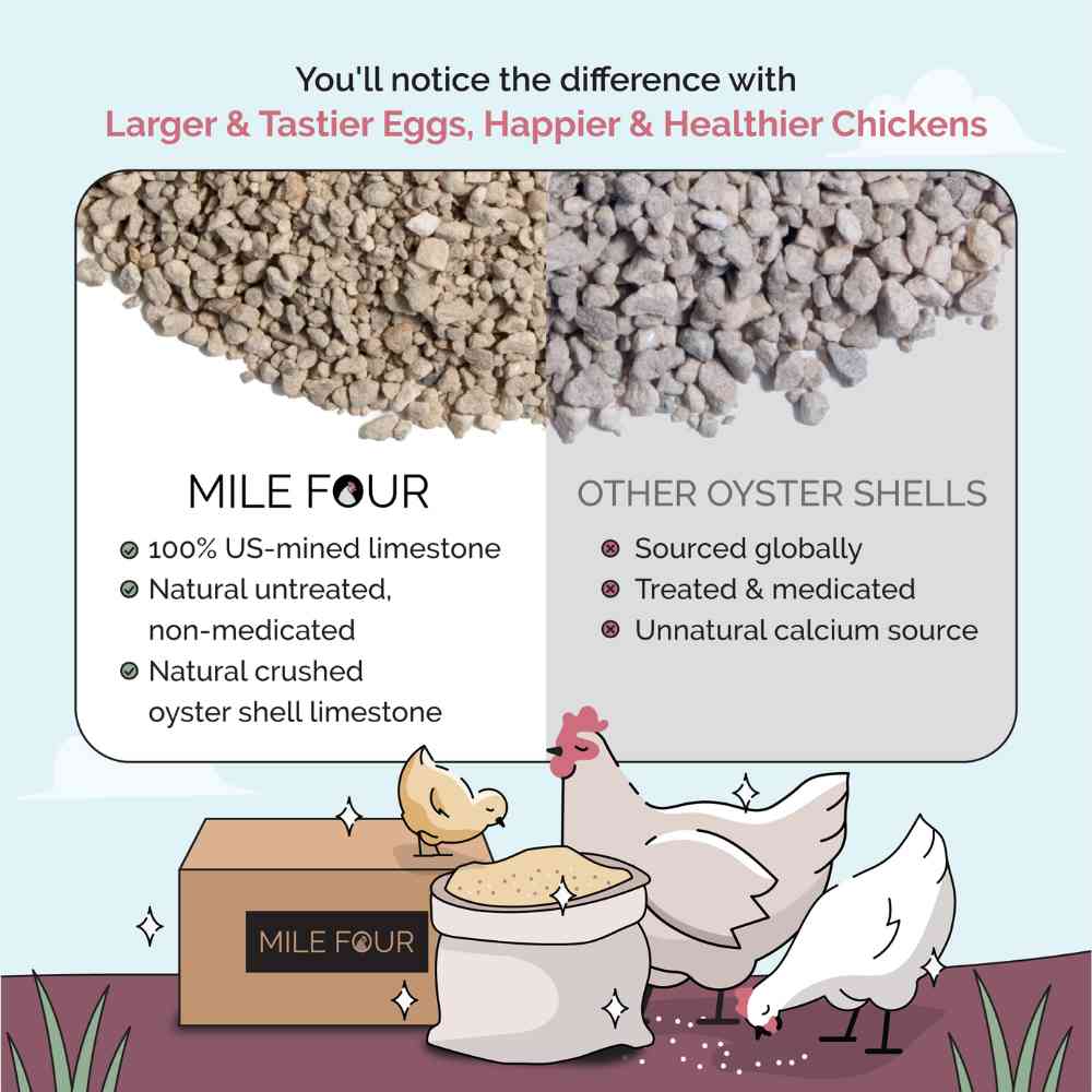 Mile Four Oyster Shell