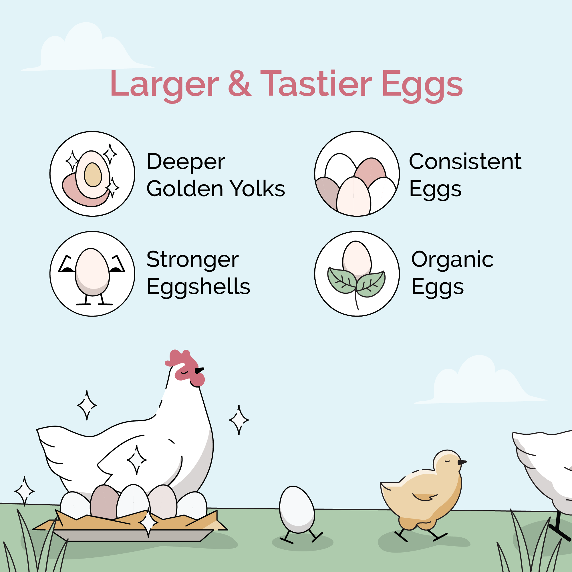 Mile Four Grower Feed Kit | 12 Weeks of Organic Feed & Grit for 6 Pullets