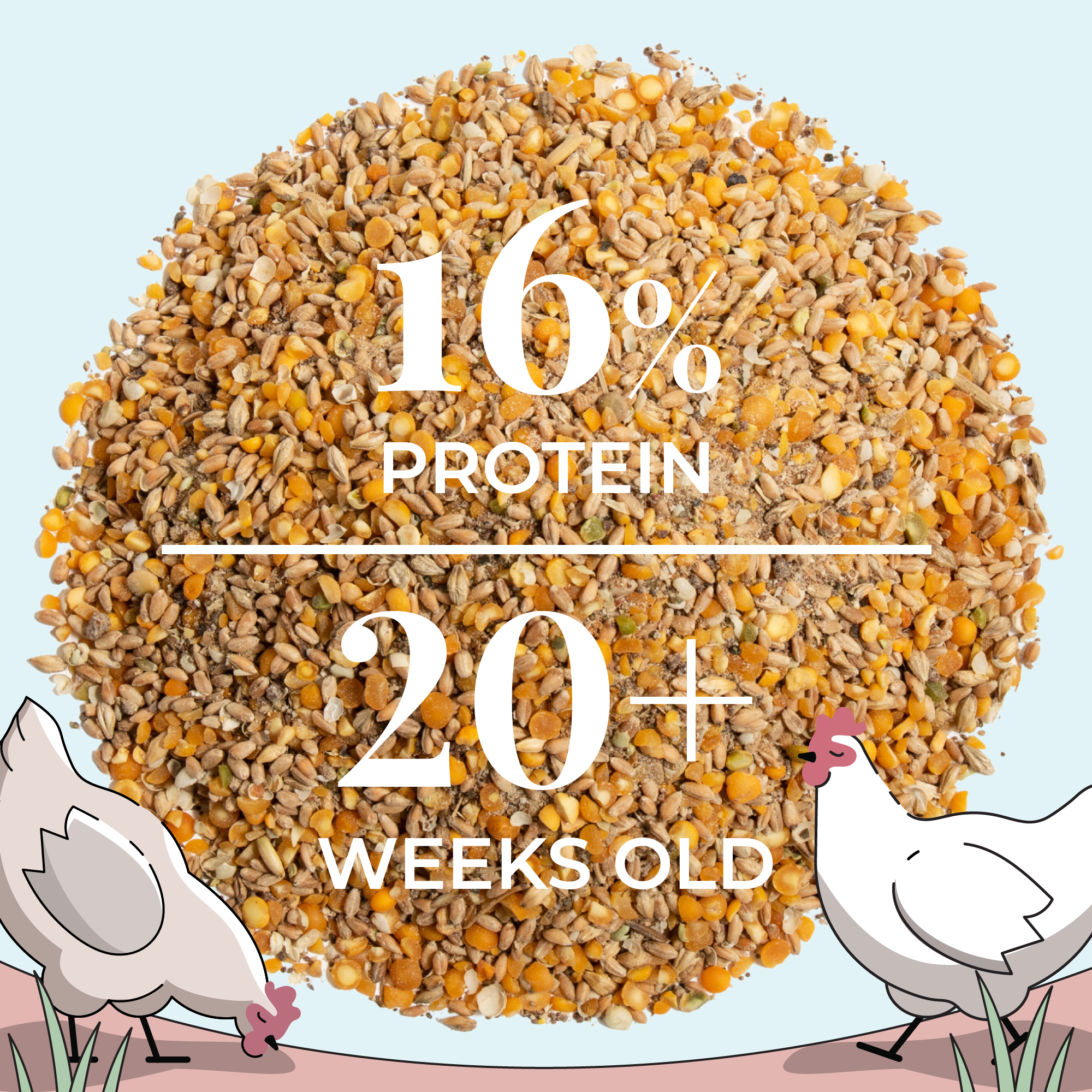 Mile Four Layer Feed Kit | 1 Month of Organic Feed, Scratch, Grit & Oyster Shell for 6 Layers