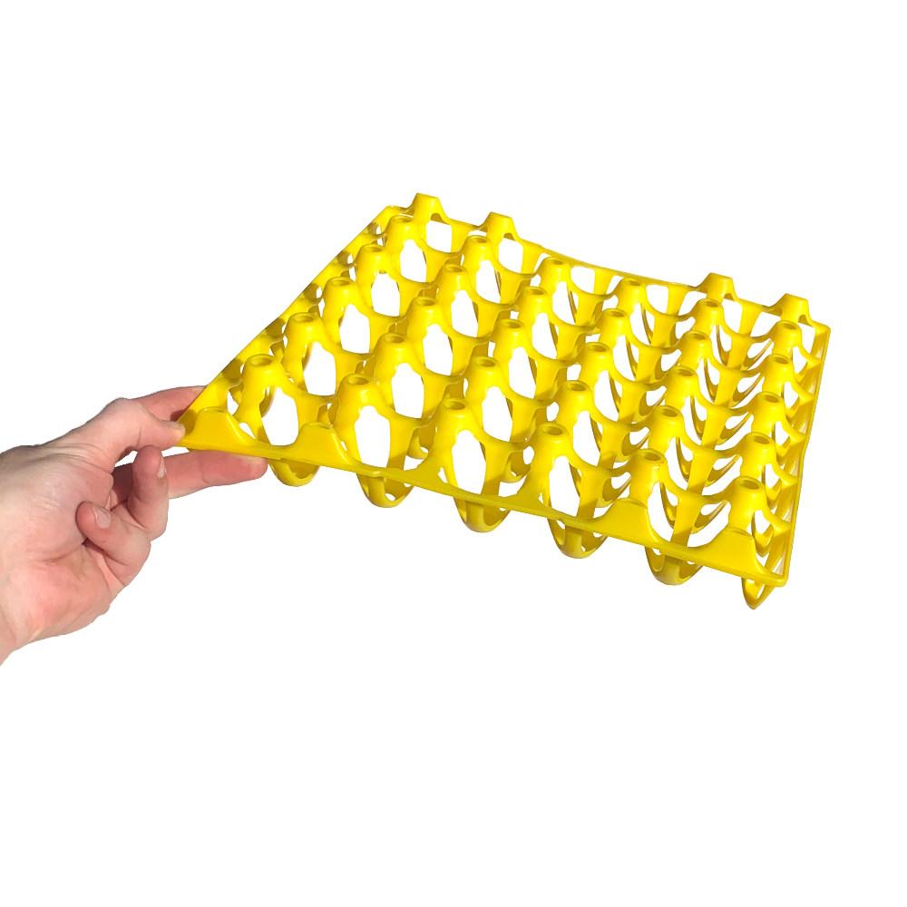 Hatching Time Plastic Chicken Egg Tray - 30 Eggs