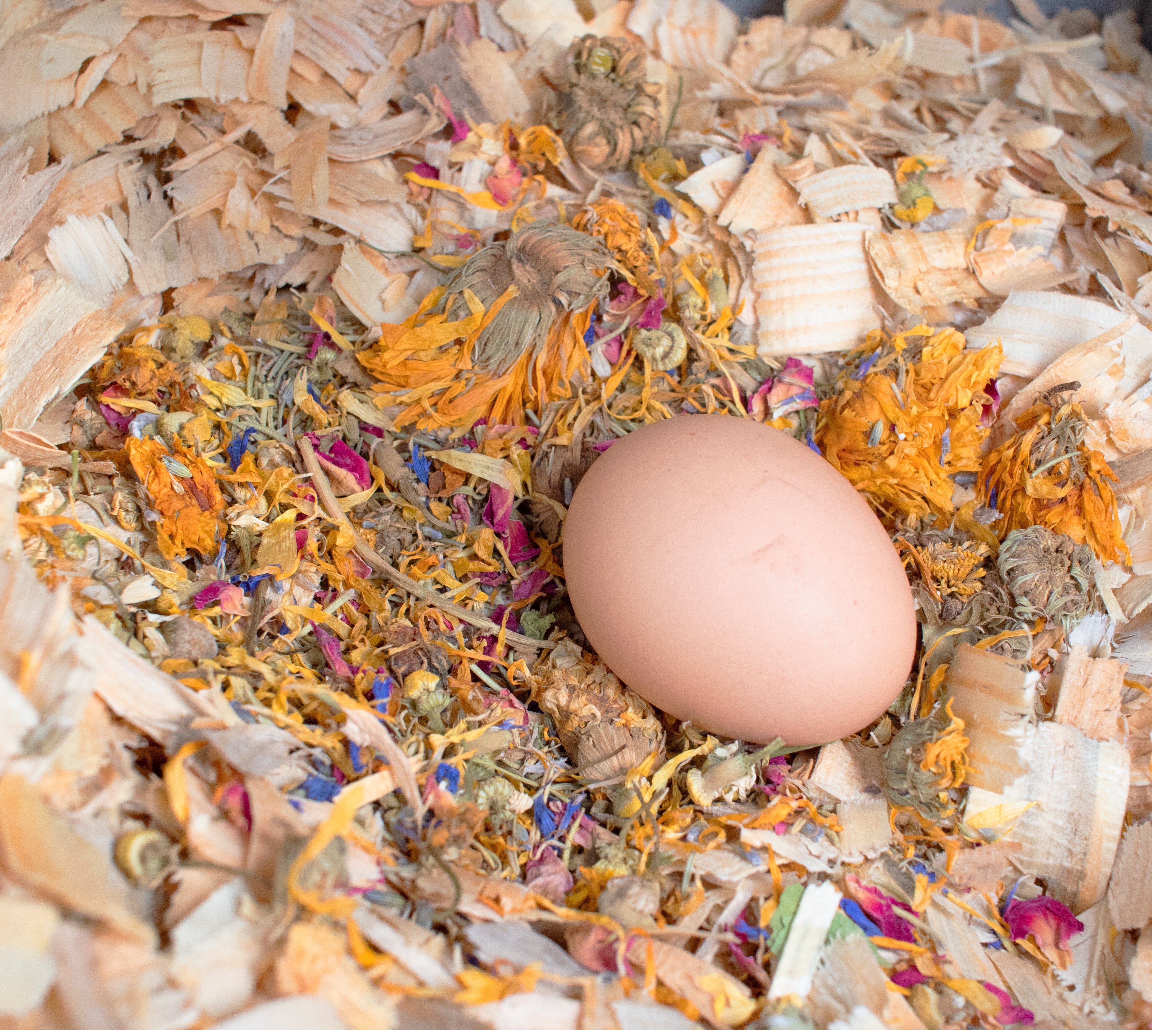 Pampered Chicken Mama Best Eggs Ever! (TM) Nesting Herbs (Chamomile, Roses, Lavender, Cornflowers, & Calendula) For Pet Chickens