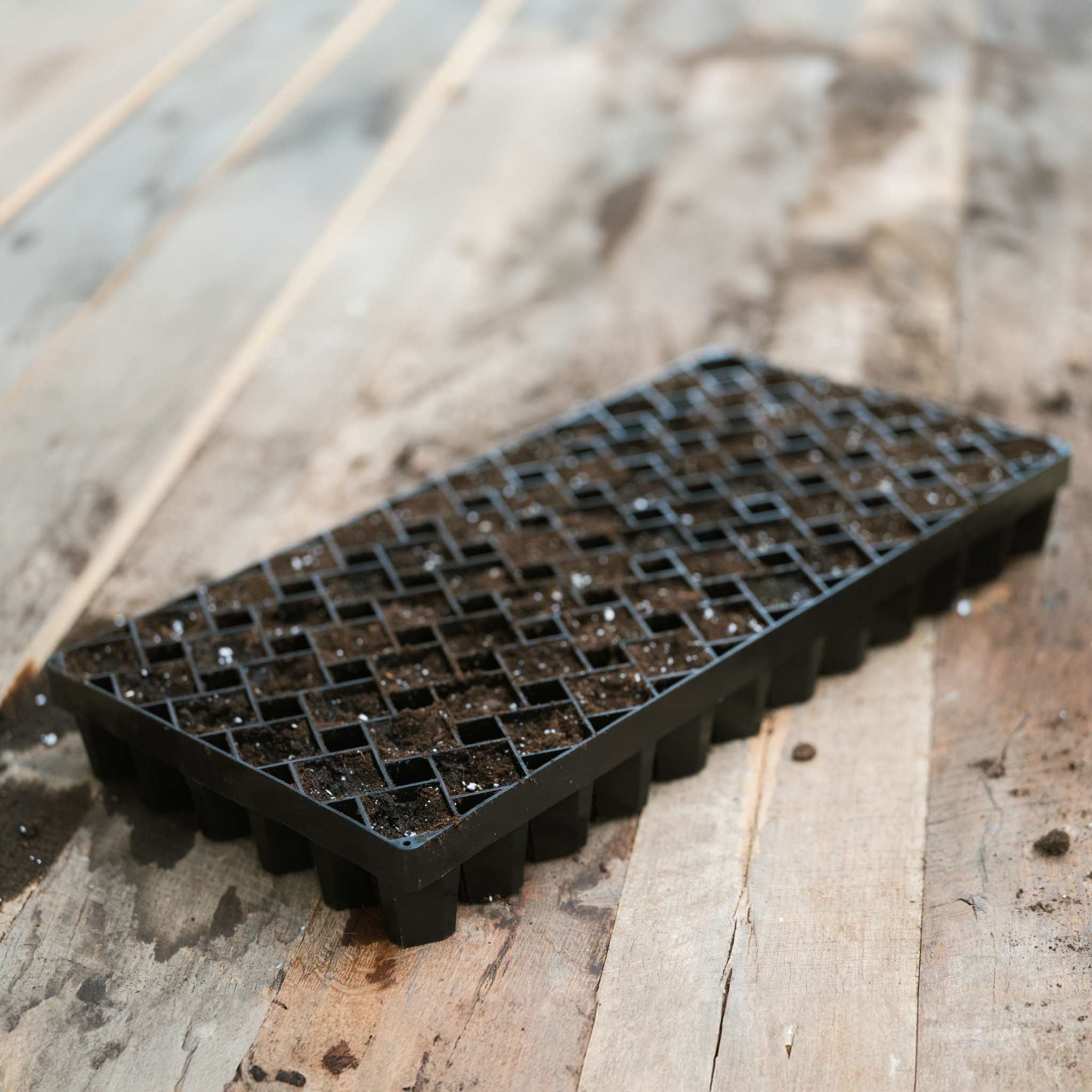 Air Prune Propagation Tray - 72 Cell