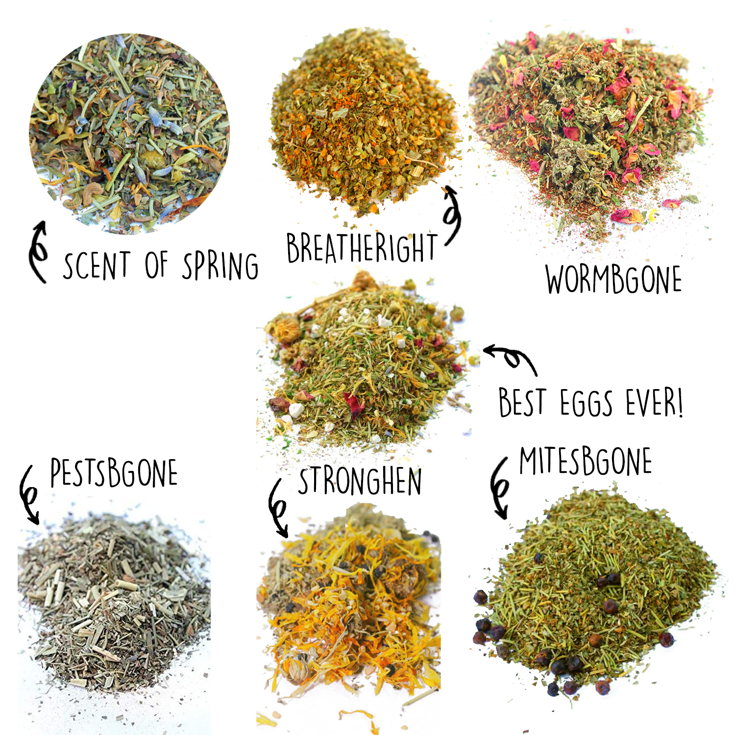 Pampered Chicken Mama Nesting Herb Starter Bundle 7 Different Nesting & Coop Herbs