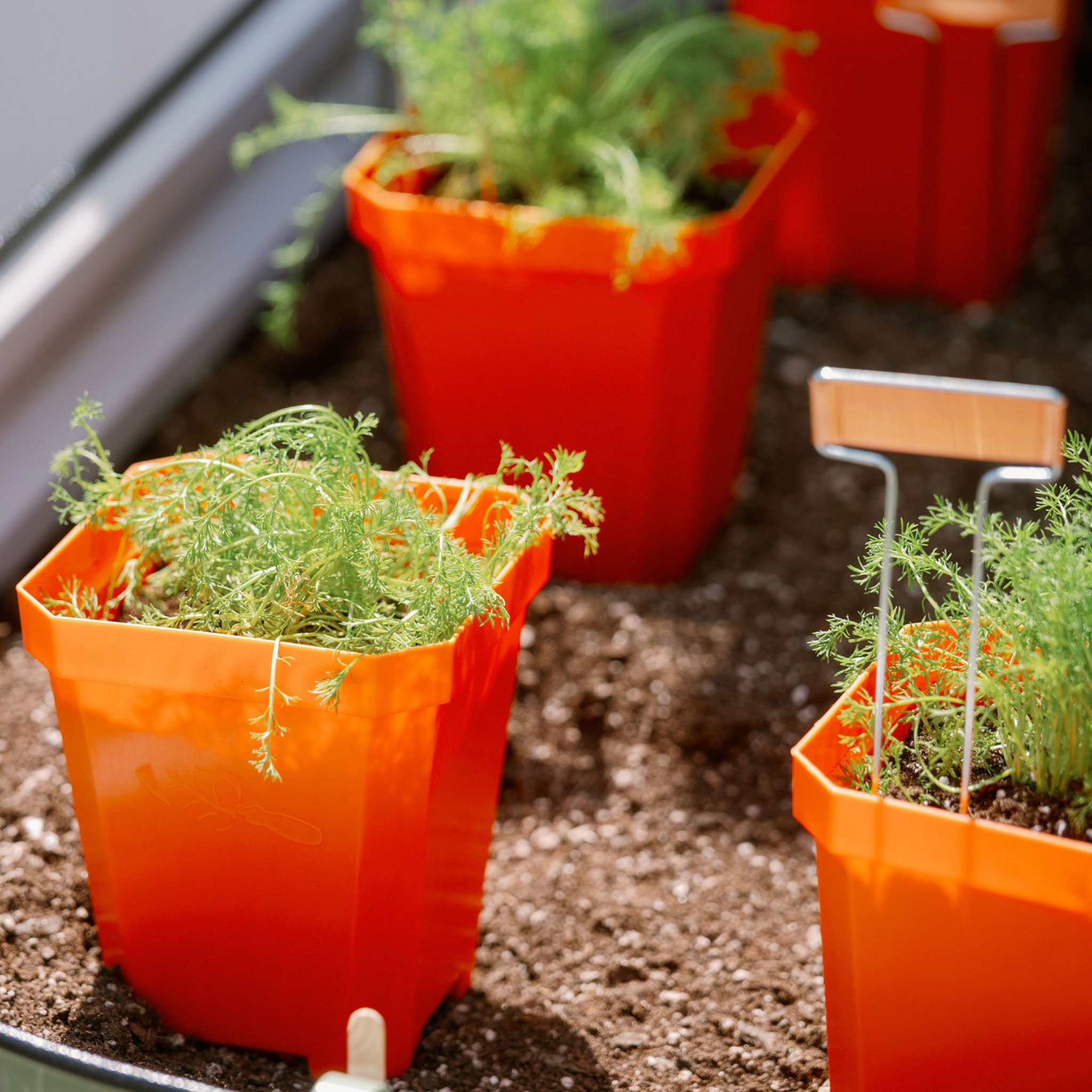 5" Nursery Pots with Insert Tray