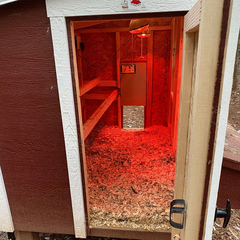 OverEZ Automatic Chicken Coop Door inside open