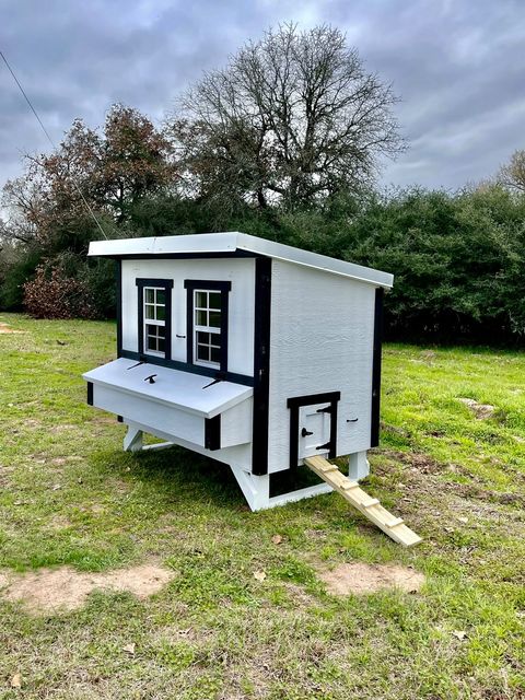 OverEZ Chicken Coop Large Up to 15 Chickens white with chicken stairs
