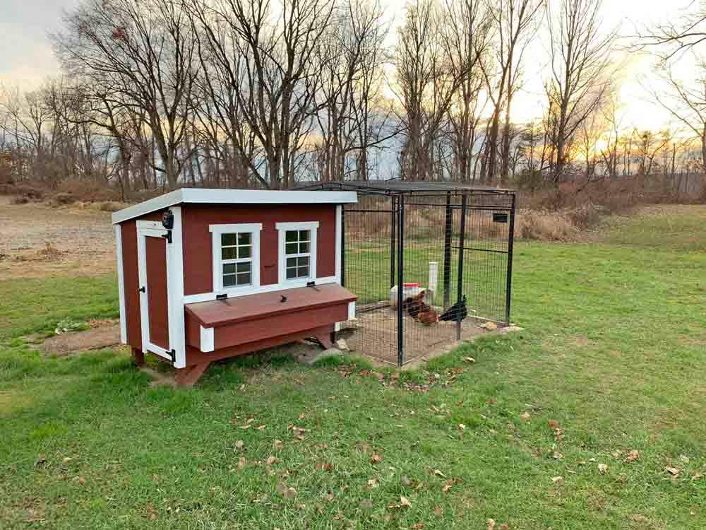 OverEZ Chicken Coop Large Up to 15 Chickens with optional run