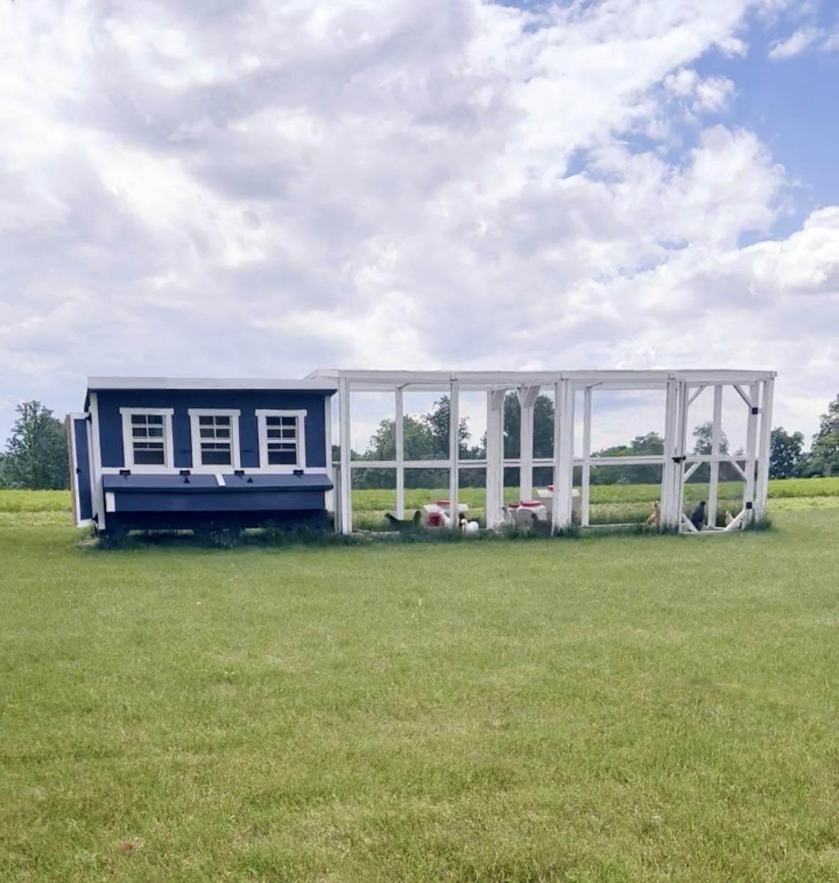OverEZ Chicken Coop XL Up to 20 Chickens blue coop with white wooden run