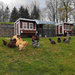 OverEZ Chicken Run Tarp Cover 2