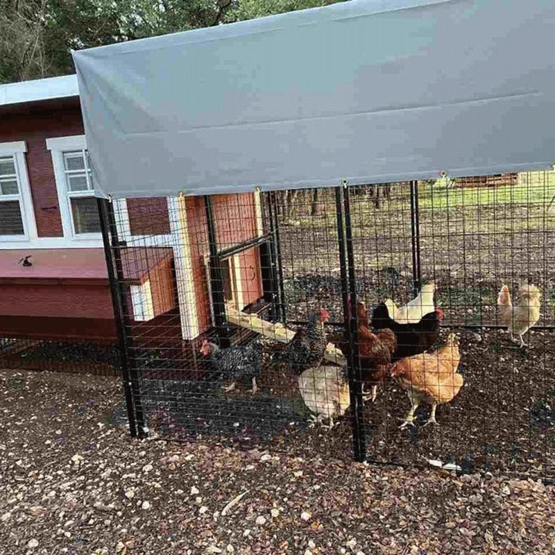 OverEZ Chicken Run Tarp Cover 6