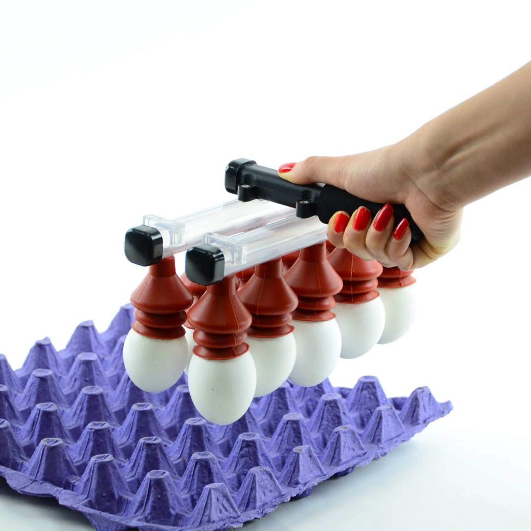 Hatching Time Vacuum Egg Lifter (10 Eggs) - Manual