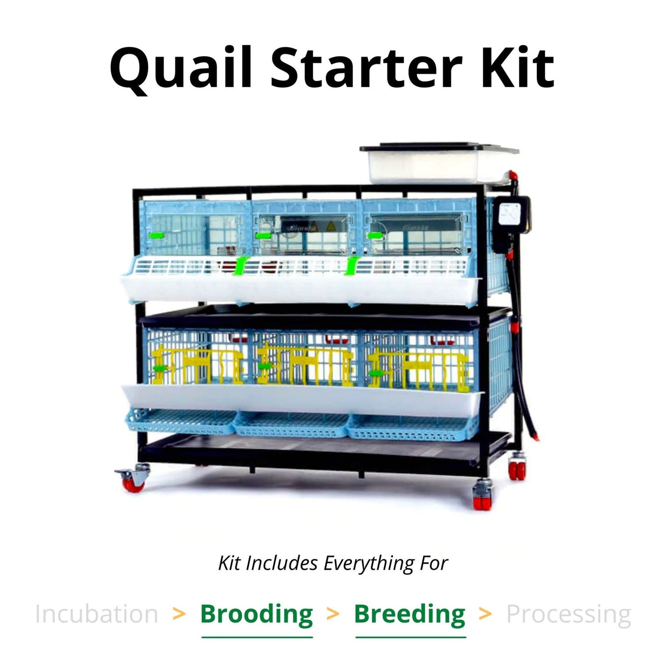 Poultry Grow Out Pens