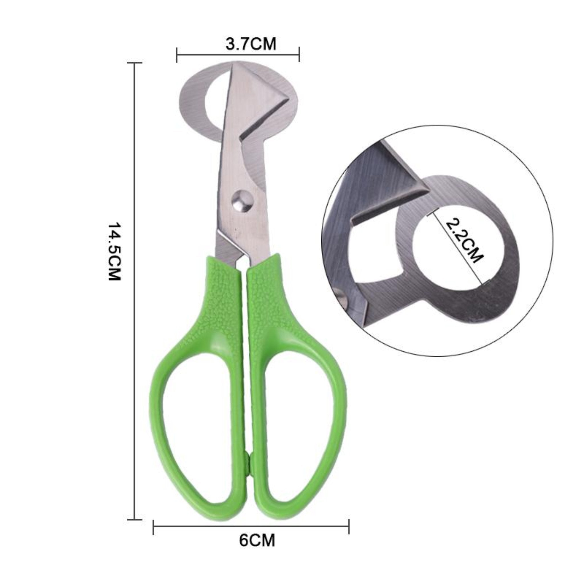 Hatching Time Quail Egg Scissors for Easy Opening