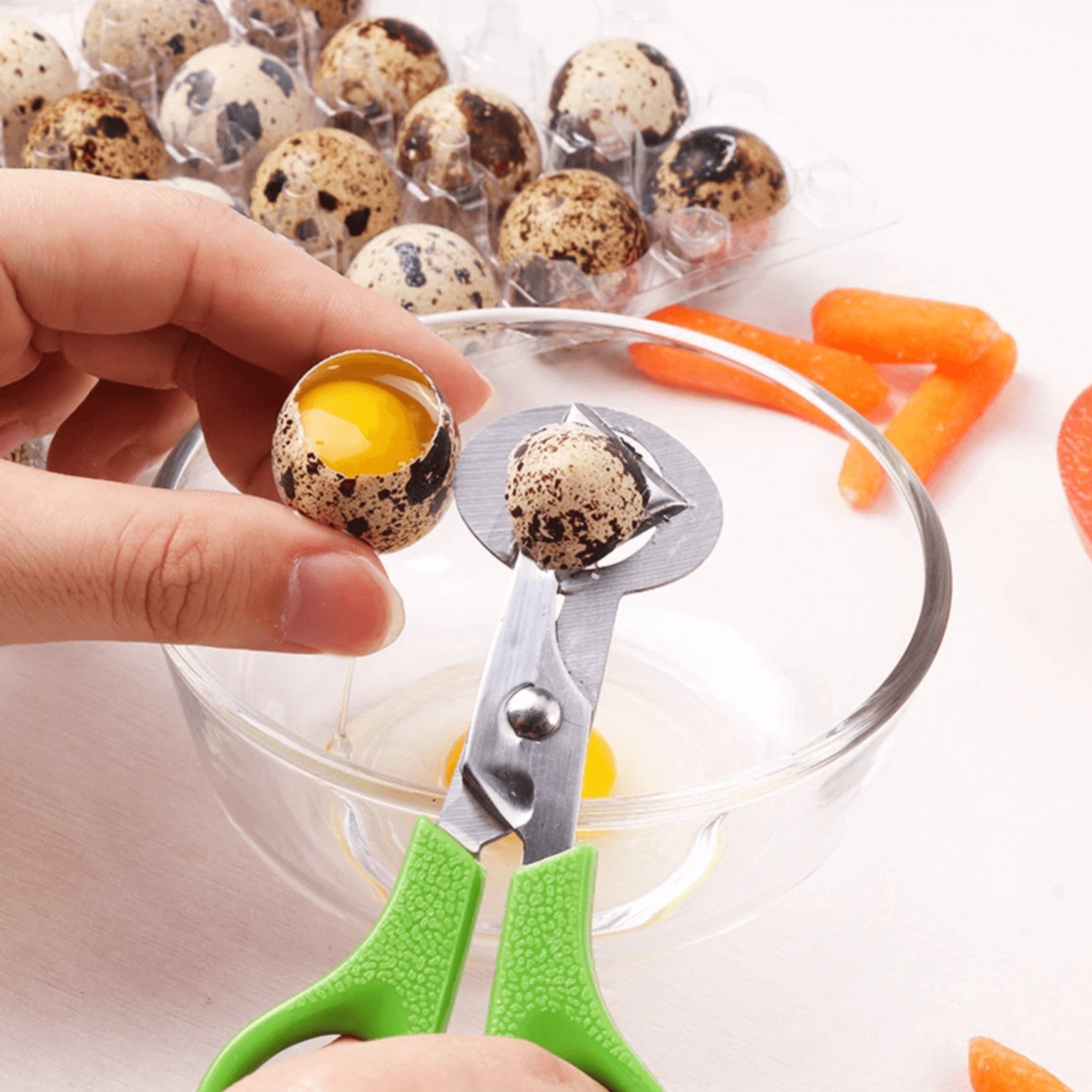 Hatching Time Quail Egg Scissors for Easy Opening