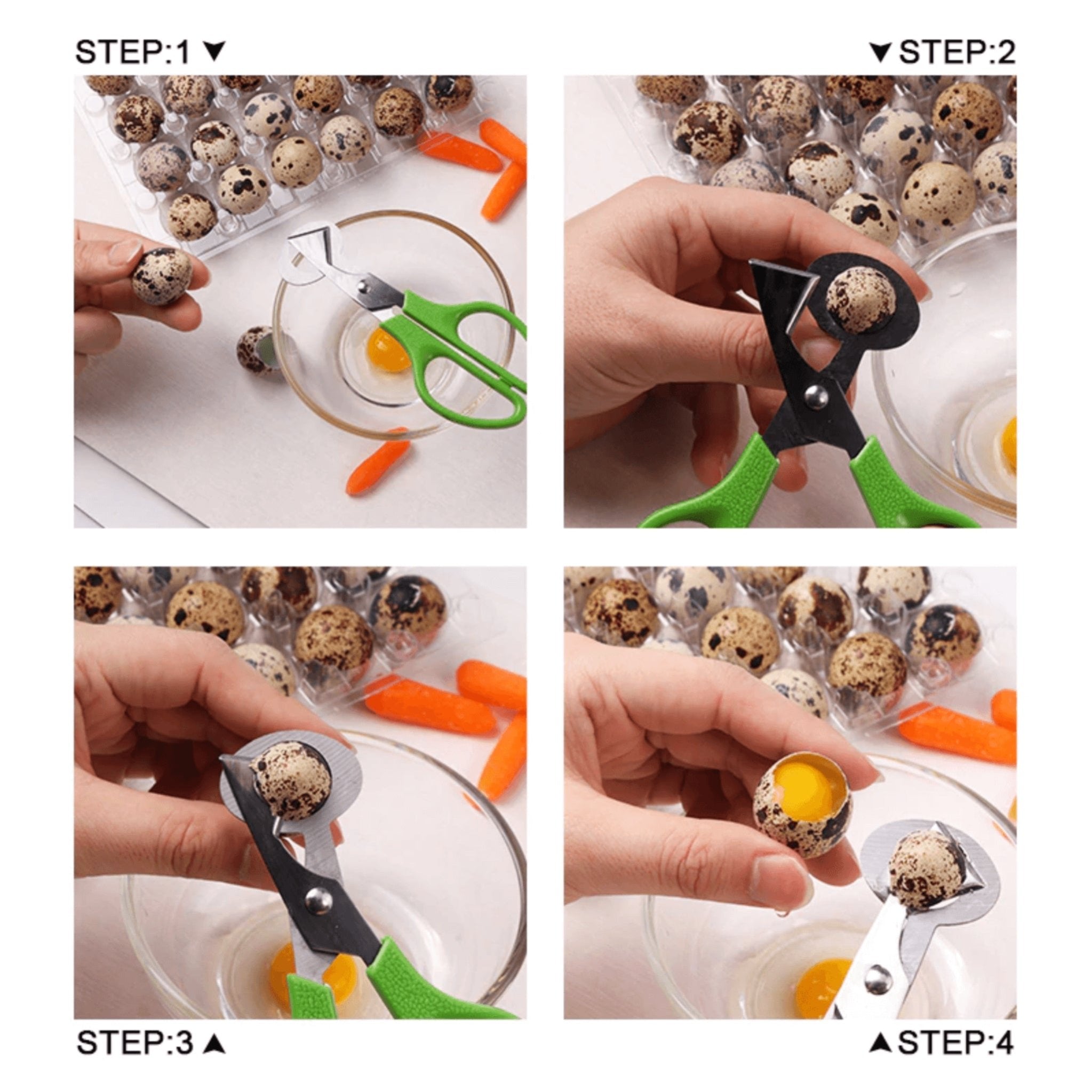 Hatching Time Quail Egg Scissors for Easy Opening