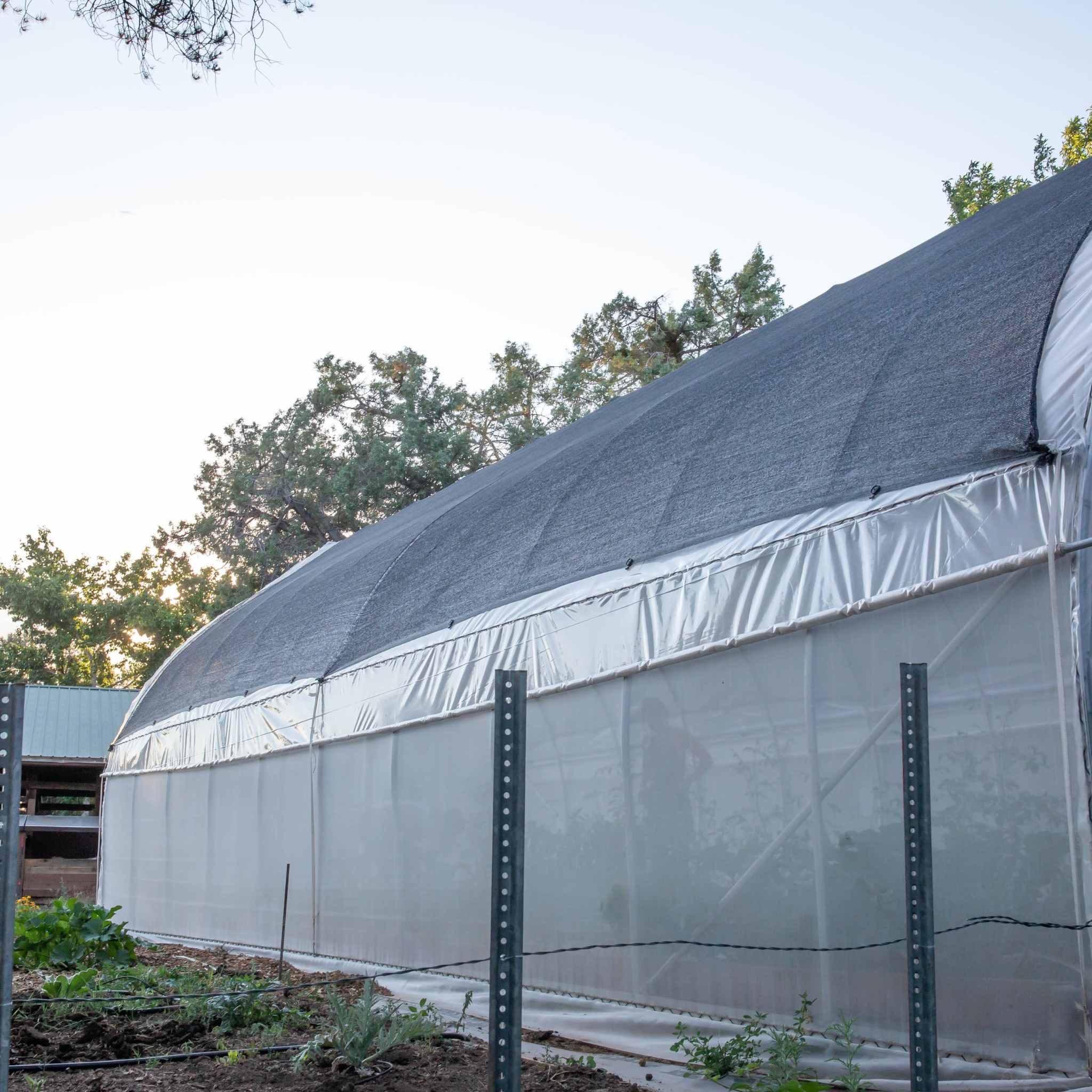 Bootstrap Farmer Gothic All-Metal Hoop Coop Kit