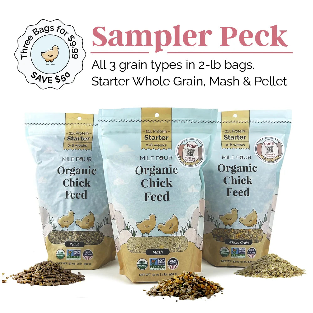 Mile Four Starter Organic Chicken Feed