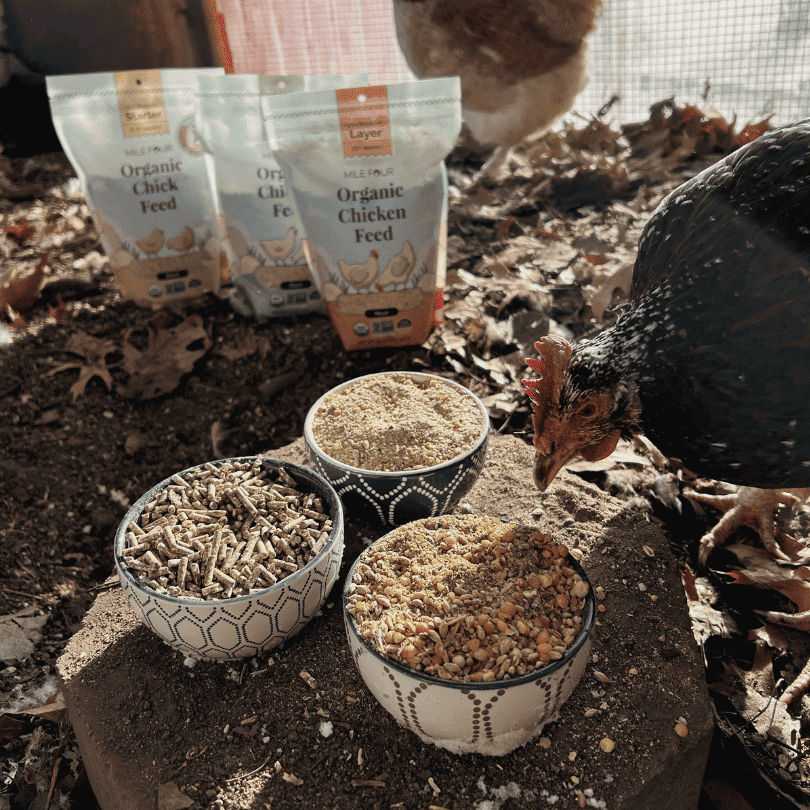 Mile Four Starter Organic Chicken Feed