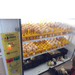Surehatch SH680 Egg Incubator & Hatcher with Automatic Turner for Quail with chicks