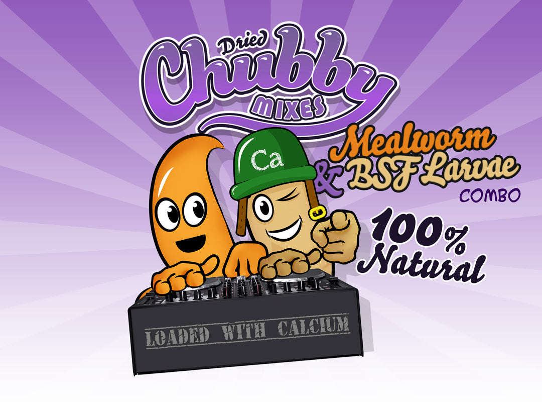 Chubby Mix 4lb (Mealworm & Black Soldier Fly Larvae Combo)