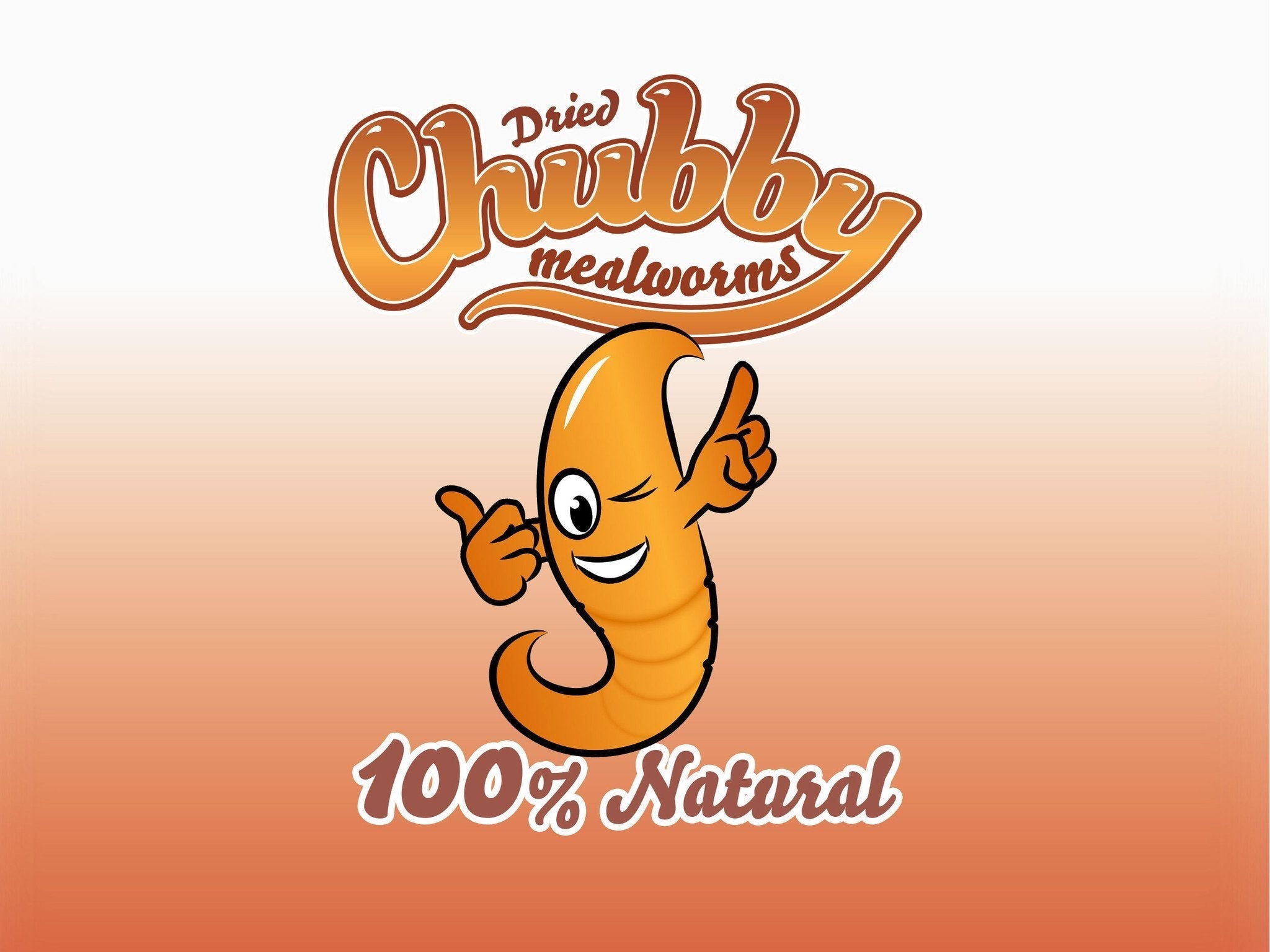 Chubby Dried Mealworms 2Lbs
