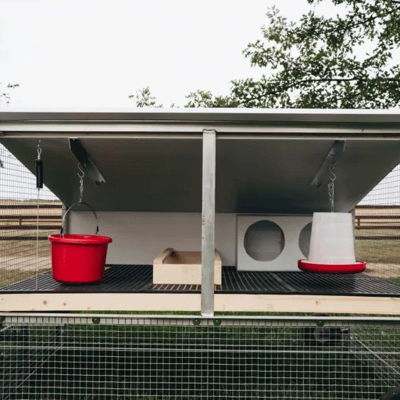 Egg Cart'n Classic Chicken Tractor 8-10 hens inside view