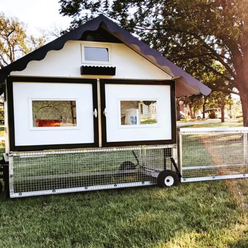 Egg Cart'n Chicken Run Only 4’x6′