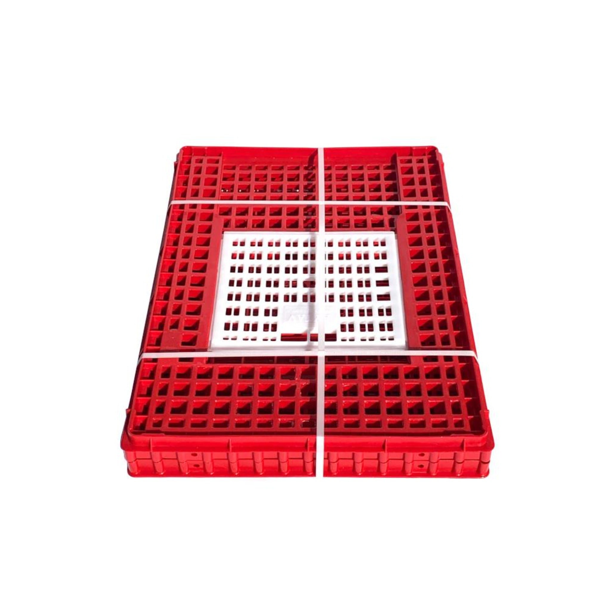 Hatching Time Transport Coop (Small, Deep) Top Door - Chicken