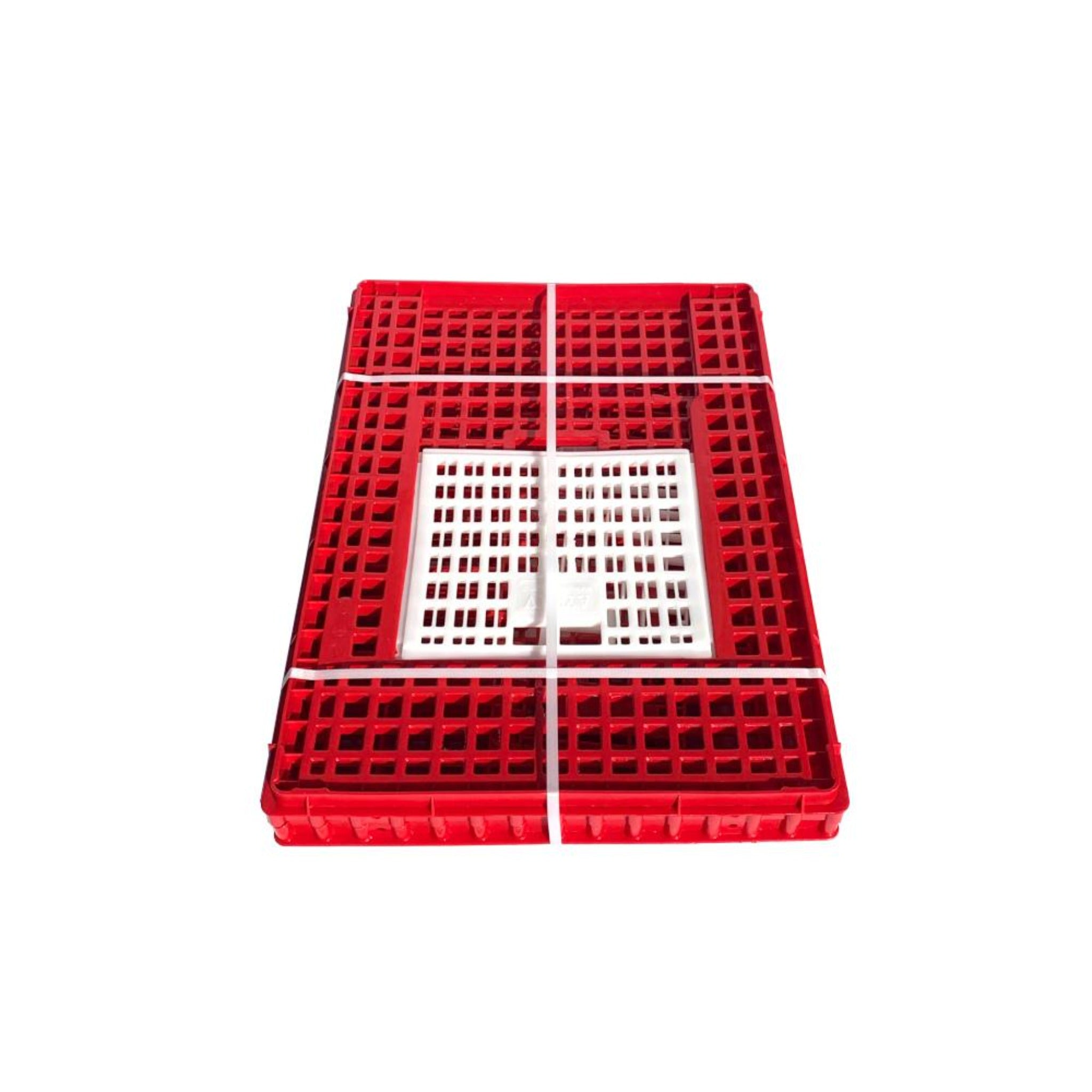 Hatching Time Transport Coop (Small) Two Door - Chicken