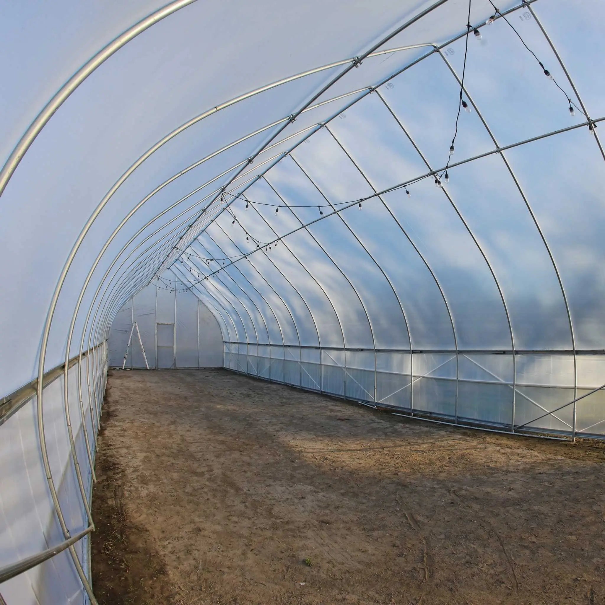 Bootstrap Farmer Gothic All-Metal Hoop Coop Kit