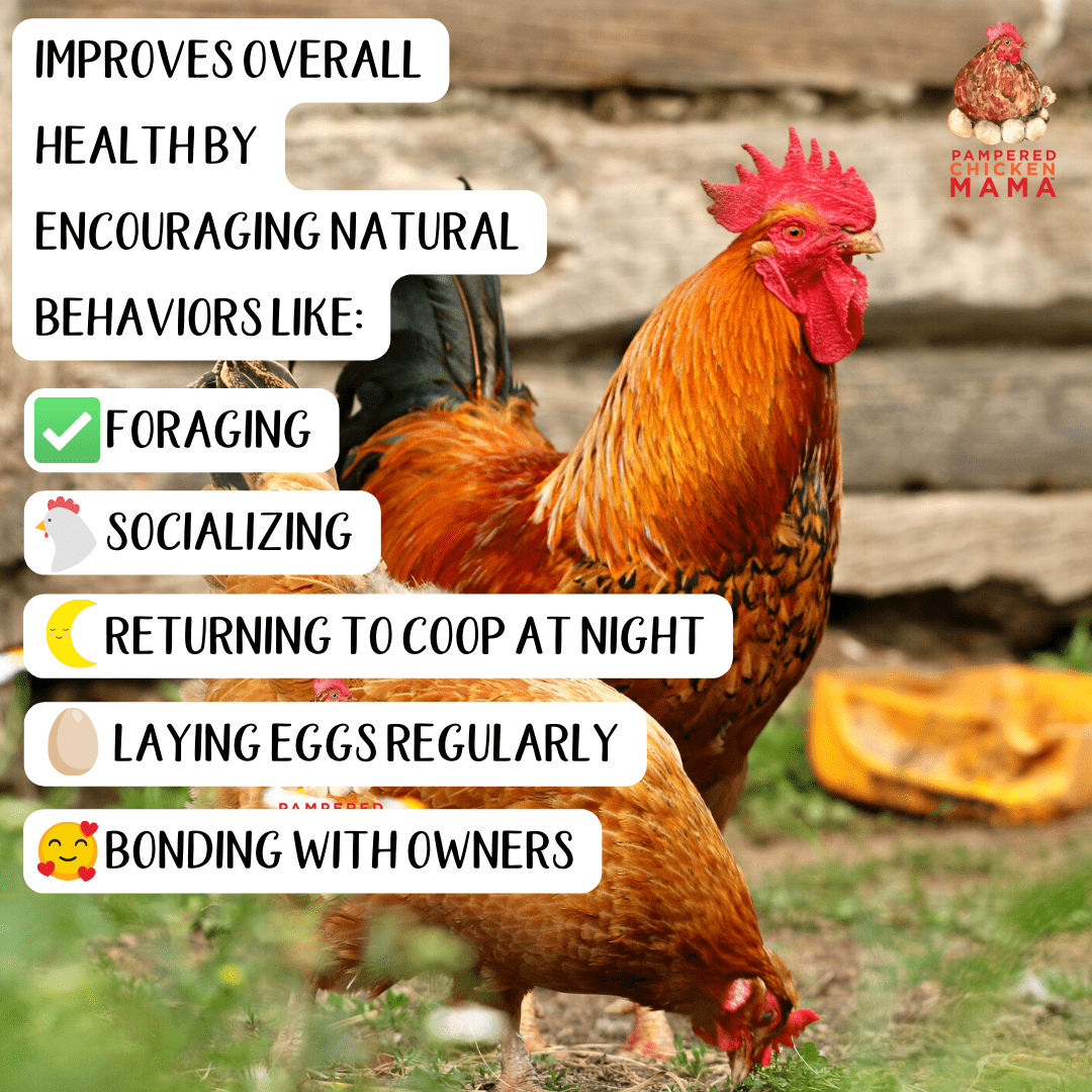 Pampered Chicken Mama Egg-Cellent Yolks: For Healthy, Golden Yolks - Naturally!