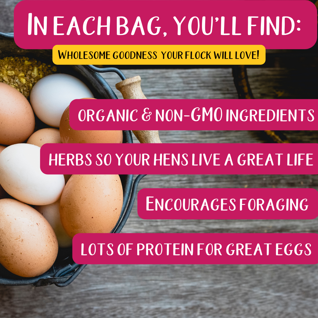 Pampered Chicken Mama Poultry Queen Mealworm, Non-GMO Corn, Non-GMO Flax, & Herb Treat For Pet Chickens