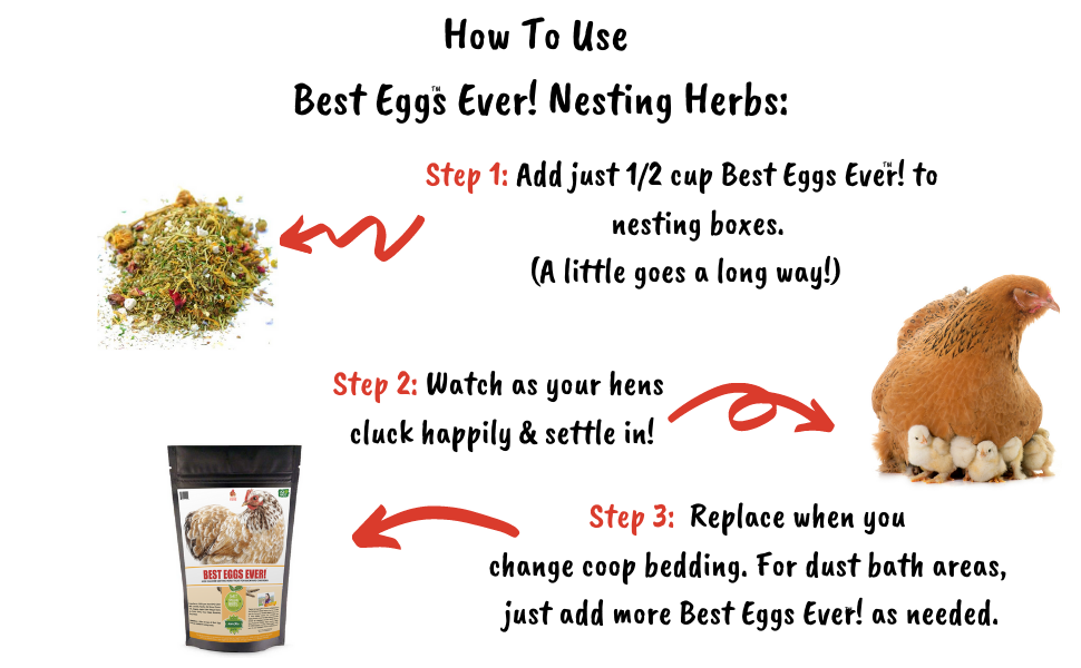 Pampered Chicken Mama Best Eggs Ever! (TM) Nesting Herbs (Chamomile, Roses, Lavender, Cornflowers, & Calendula) For Pet Chickens