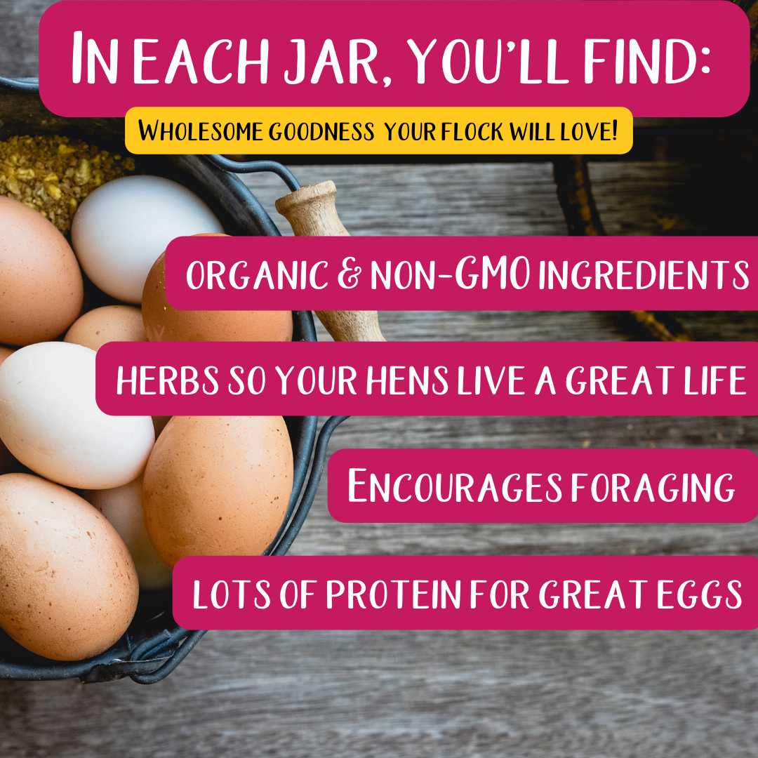 Pampered Chicken Mama Winter Support Bundle: 8 Products For A Healthy Wintertime Coop! (13 pounds total)