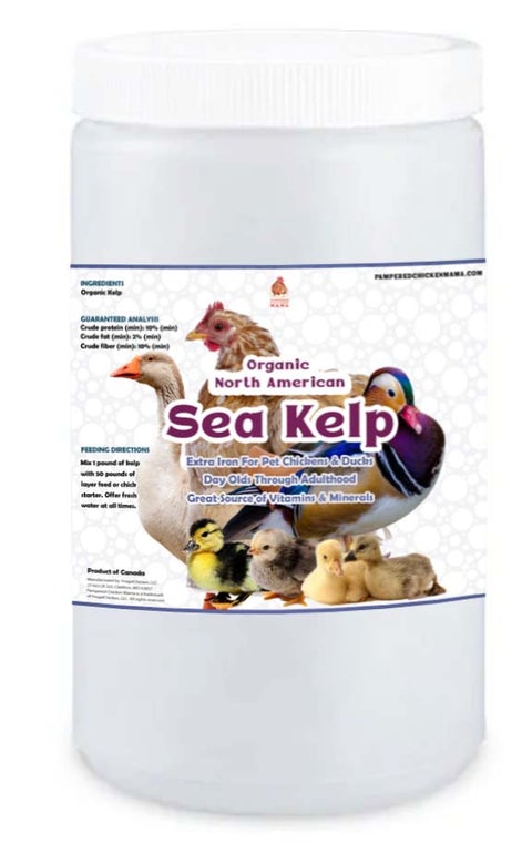 Pampered Chicken Mama Winter Support Bundle: 8 Products For A Healthy Wintertime Coop! (13 pounds total)