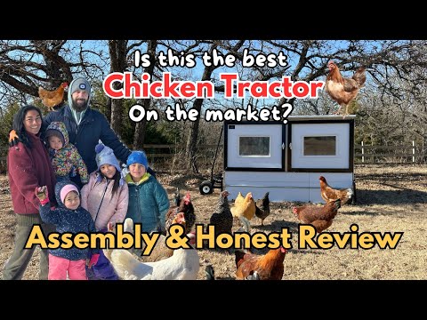 Egg Cart'n Classic Chicken Tractor 8-10 hens video review and assembly