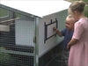 Egg Cart'n Classic Chicken Tractor 8-10 hens video egg catching