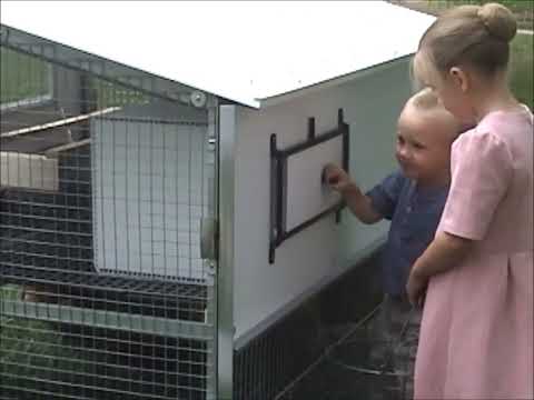 Egg Cart'n Classic Chicken Tractor 8-10 hens video egg catching