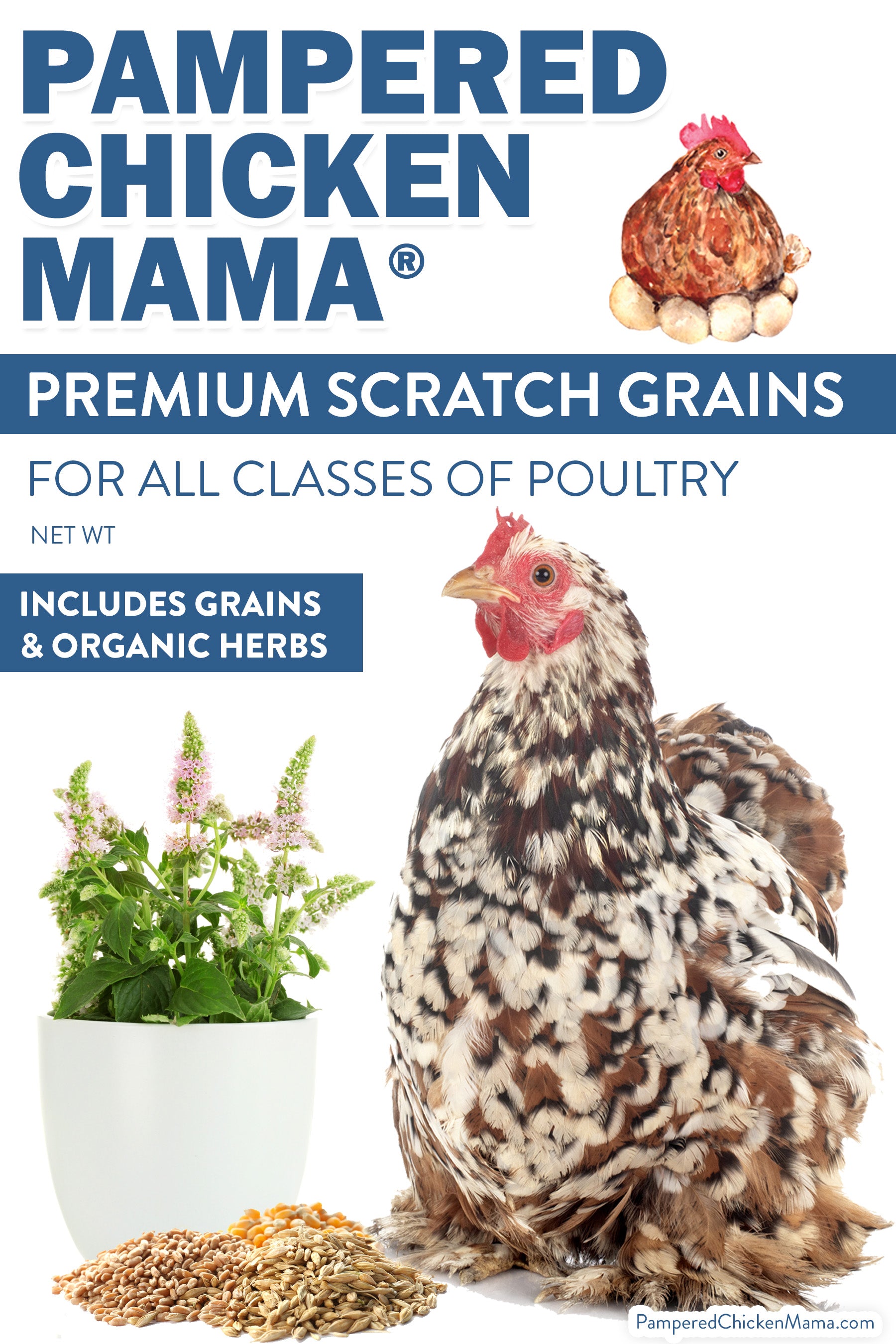 Pampered Chicken Mama Non-GMO Premium Chicken Scratch With Herbs To Encourage Positive Behaviors